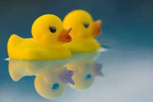 Scientists are concerned about toxins in toys.