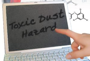 bfr BFRs are so ubiquitous that they are found in remote areas of the Artic and throughout the food chain, from zooplankton to dolphins and polar bears.