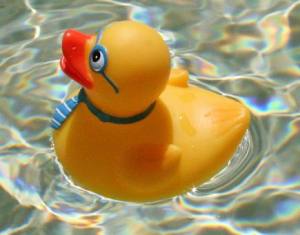 California has moved to restrict phthalate plasticizers in childcare items. Photo from http://commons.wikimedia.org/wiki/File:Geek_rubber_duck_2.jpg