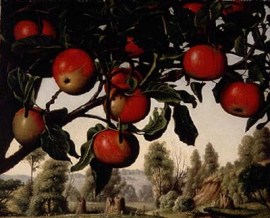 Low hanging fruit tree