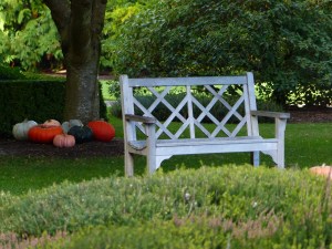 Photo: Laura Silverstein