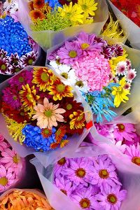 Photo: Ian Muttoo, Wikimedia Commons